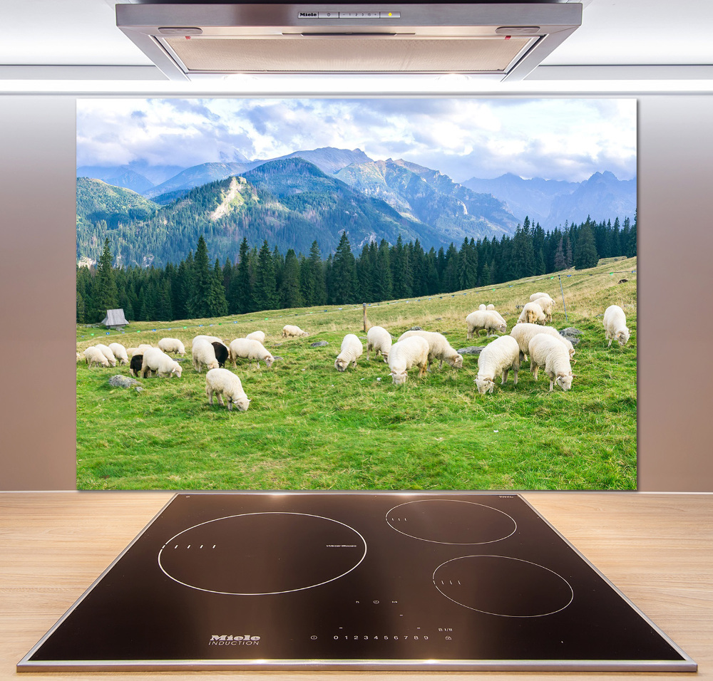 Cooker splashback Sheep in the Tatra Mountains