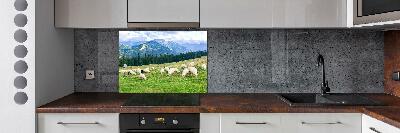 Cooker splashback Sheep in the Tatra Mountains