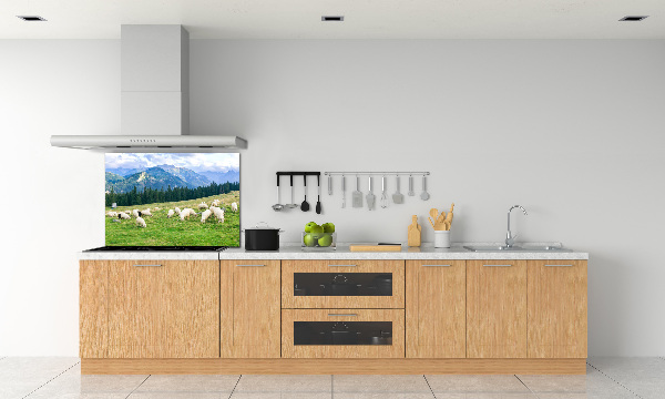 Cooker splashback Sheep in the Tatra Mountains