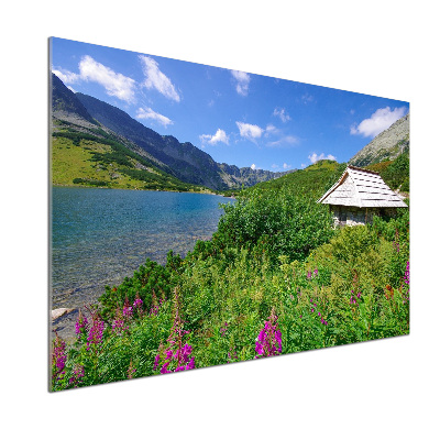 Cooker splashback House in the Tatra Mountains