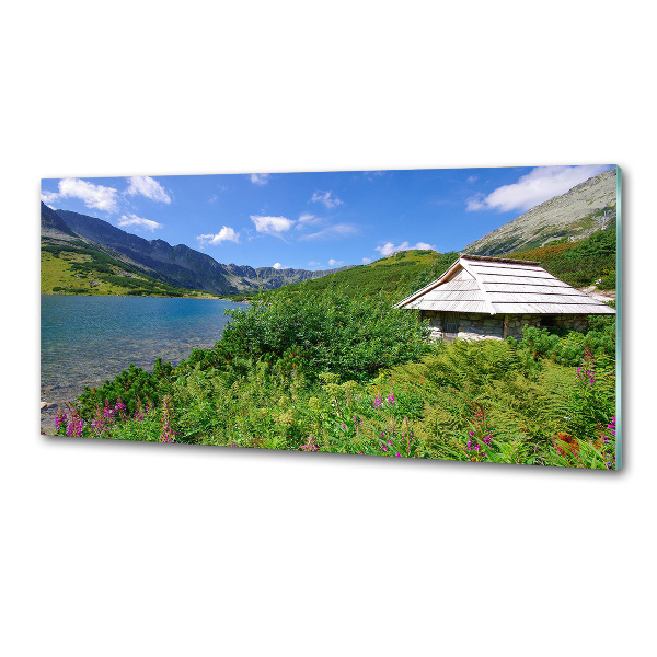 Cooker splashback House in the Tatra Mountains