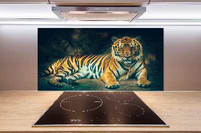 Cooker splashback Tiger in a cave