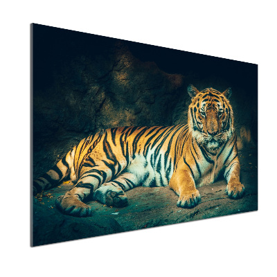 Cooker splashback Tiger in a cave