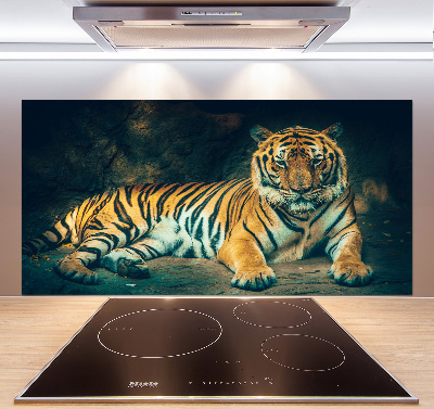 Cooker splashback Tiger in a cave