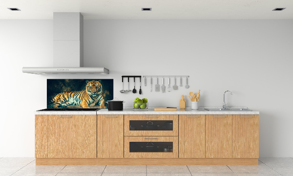 Cooker splashback Tiger in a cave