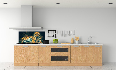 Cooker splashback Tiger in a cave