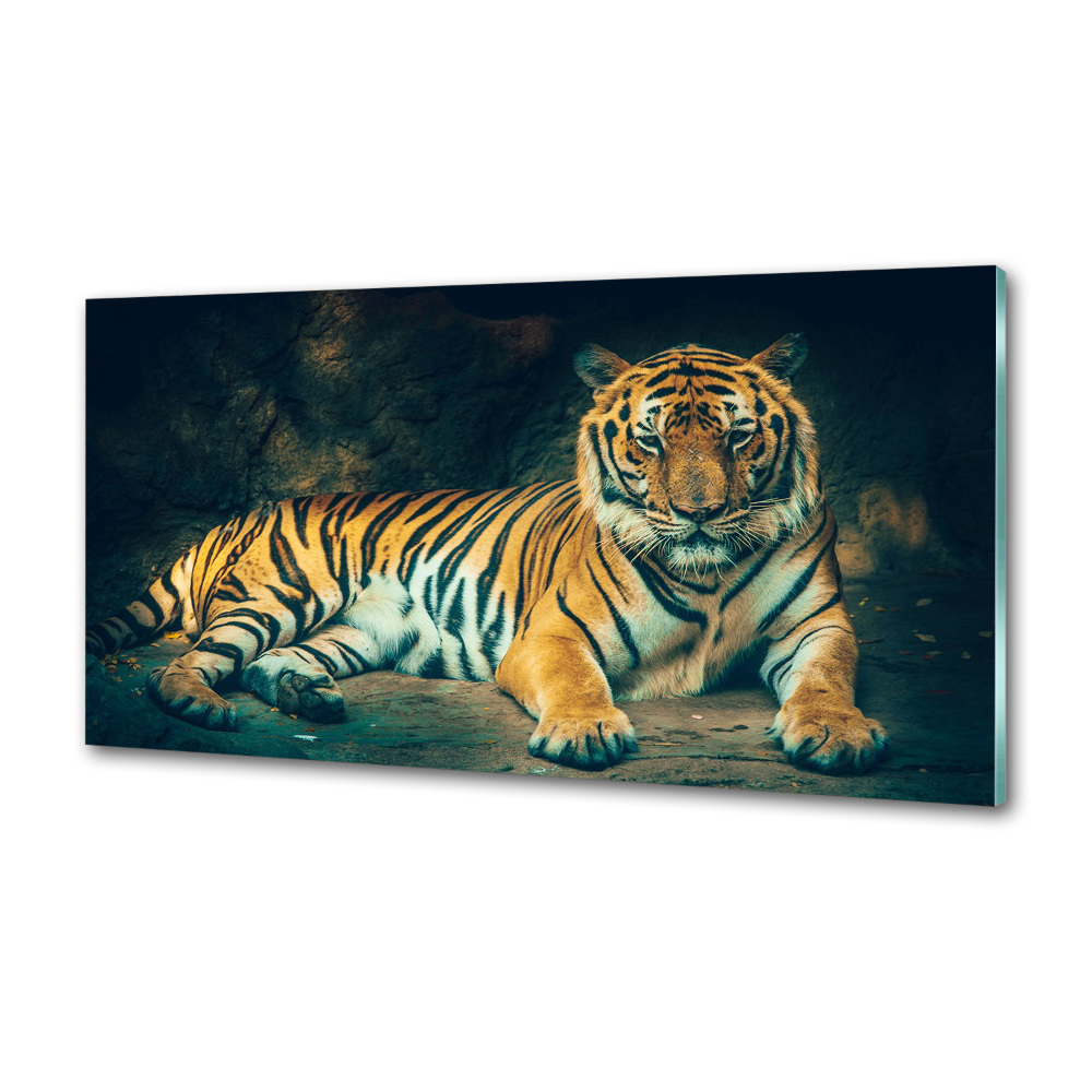 Cooker splashback Tiger in a cave