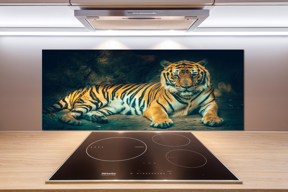 Cooker splashback Tiger in a cave