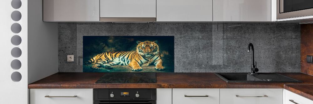 Cooker splashback Tiger in a cave