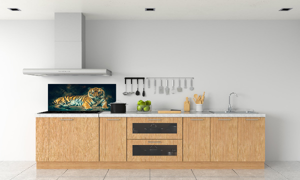 Cooker splashback Tiger in a cave