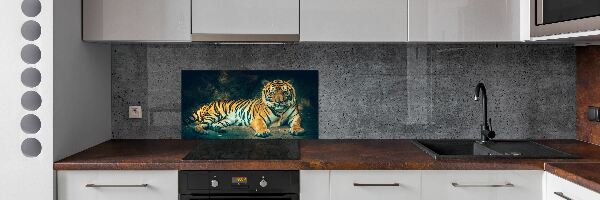 Cooker splashback Tiger in a cave