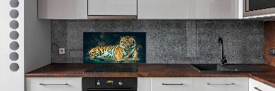 Cooker splashback Tiger in a cave