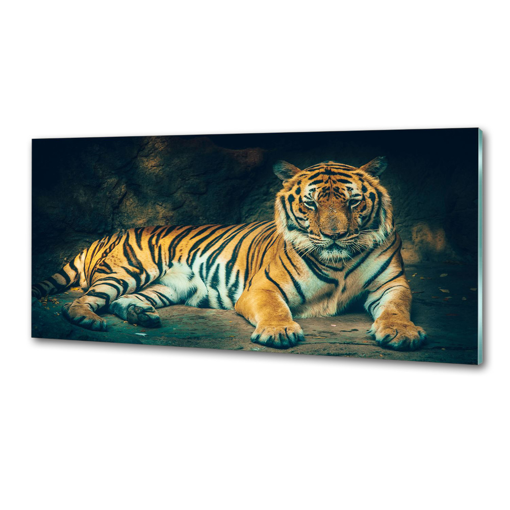 Cooker splashback Tiger in a cave