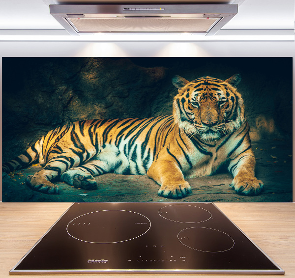 Cooker splashback Tiger in a cave