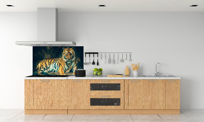 Cooker splashback Tiger in a cave