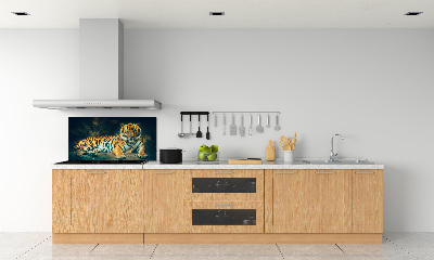 Cooker splashback Tiger in a cave