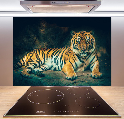 Cooker splashback Tiger in a cave