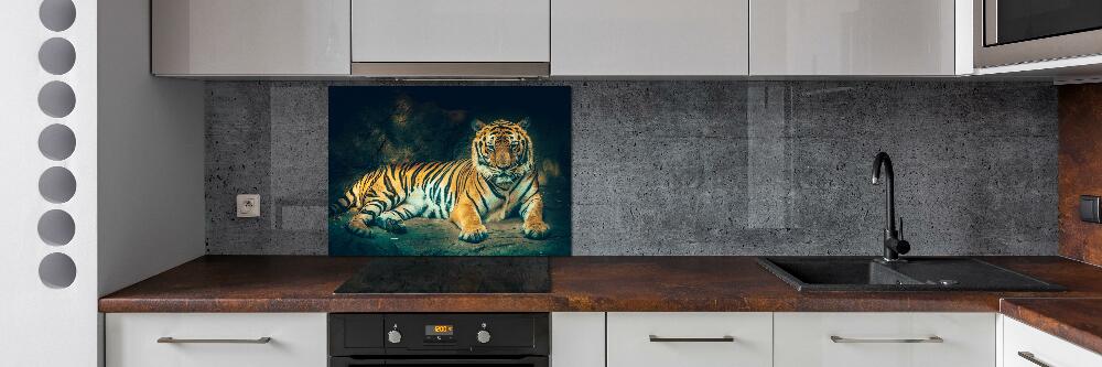 Cooker splashback Tiger in a cave