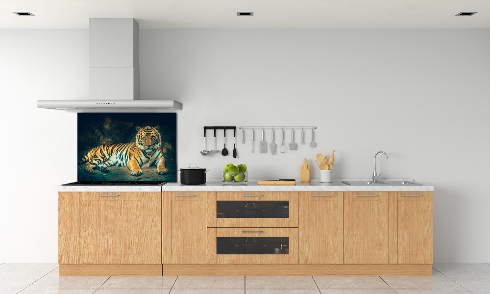 Cooker splashback Tiger in a cave