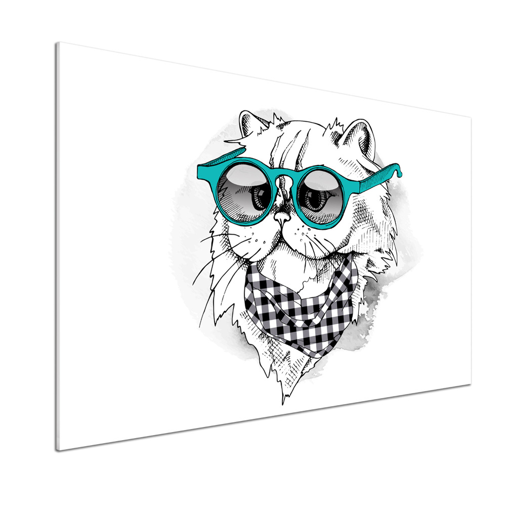 Cooker splashback Cat with glasses