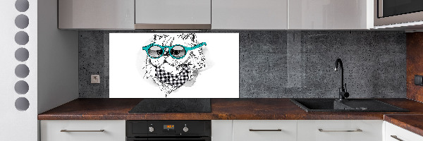 Cooker splashback Cat with glasses