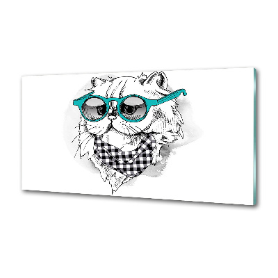 Cooker splashback Cat with glasses