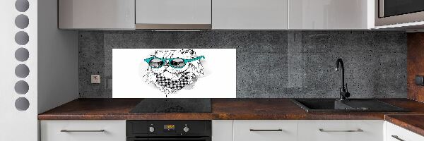 Cooker splashback Cat with glasses