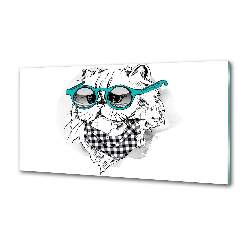 Cooker splashback Cat with glasses