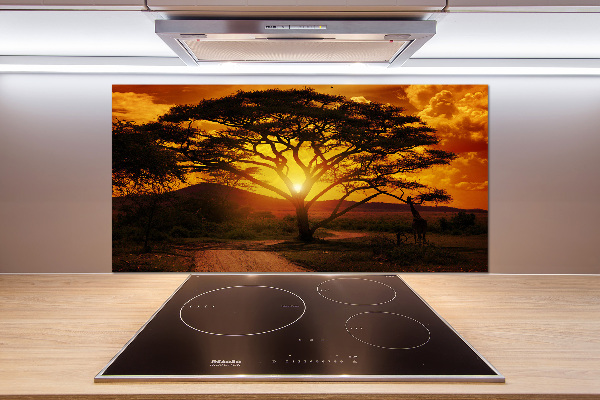 Cooker splashback West Africa