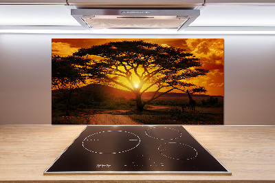 Cooker splashback West Africa