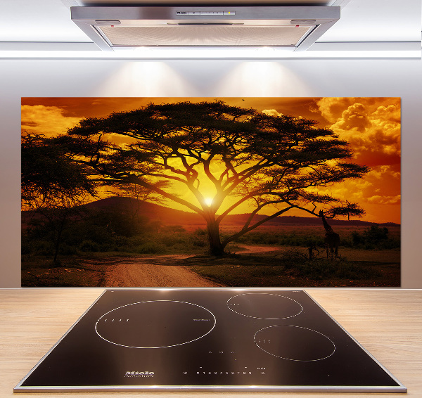 Cooker splashback West Africa