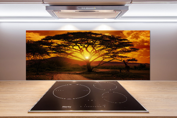 Cooker splashback West Africa