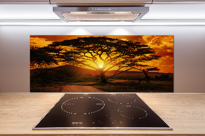 Cooker splashback West Africa