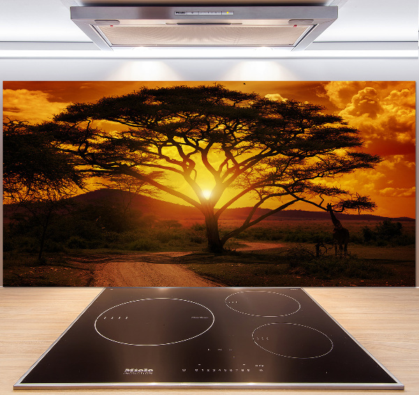 Cooker splashback West Africa