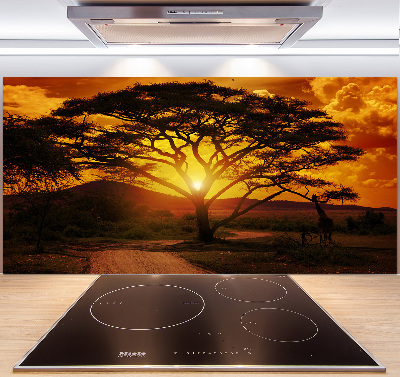 Cooker splashback West Africa