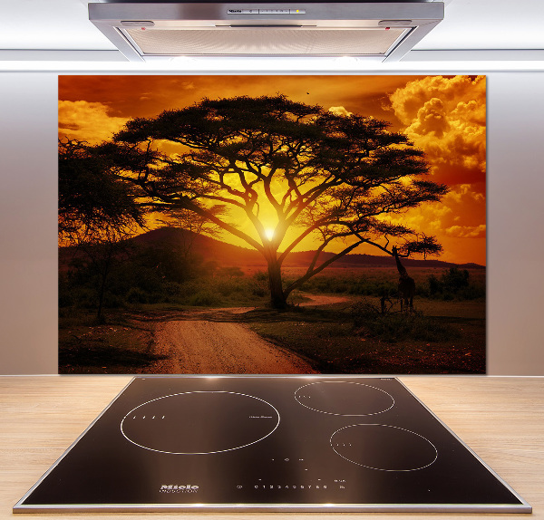 Cooker splashback West Africa