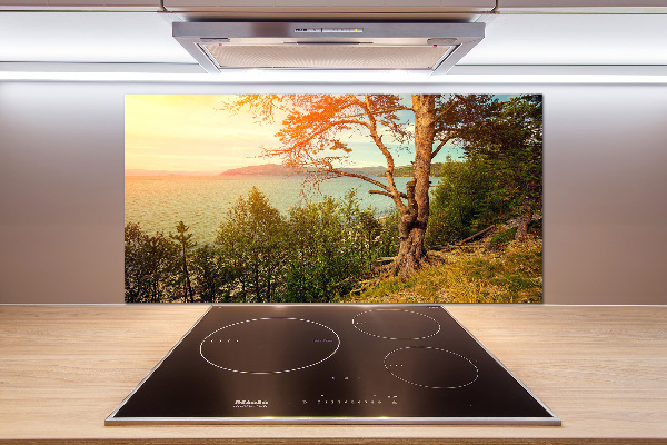 Cooker splashback Scandinavian lake