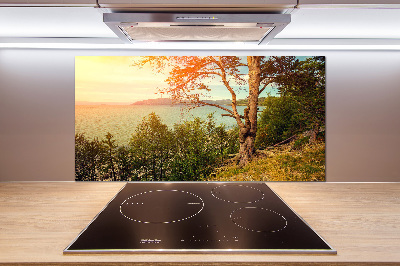 Cooker splashback Scandinavian lake