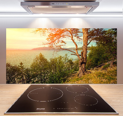 Cooker splashback Scandinavian lake