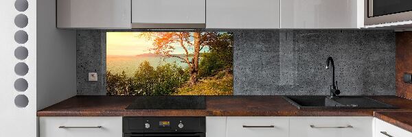 Cooker splashback Scandinavian lake