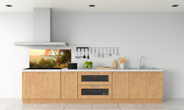 Cooker splashback Scandinavian lake