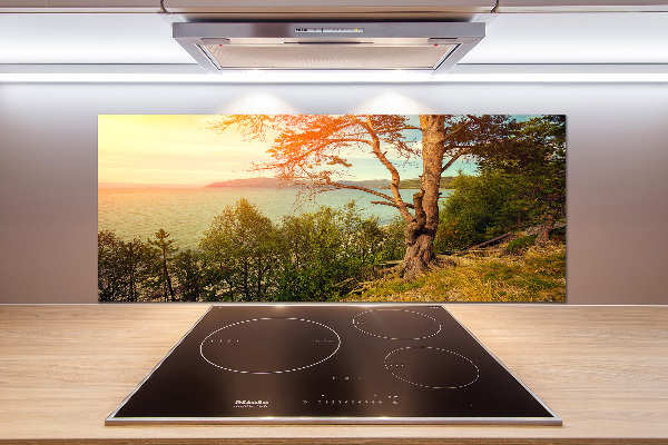 Cooker splashback Scandinavian lake