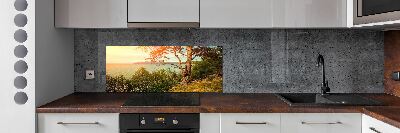 Cooker splashback Scandinavian lake