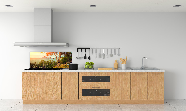 Cooker splashback Scandinavian lake