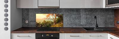 Cooker splashback Scandinavian lake