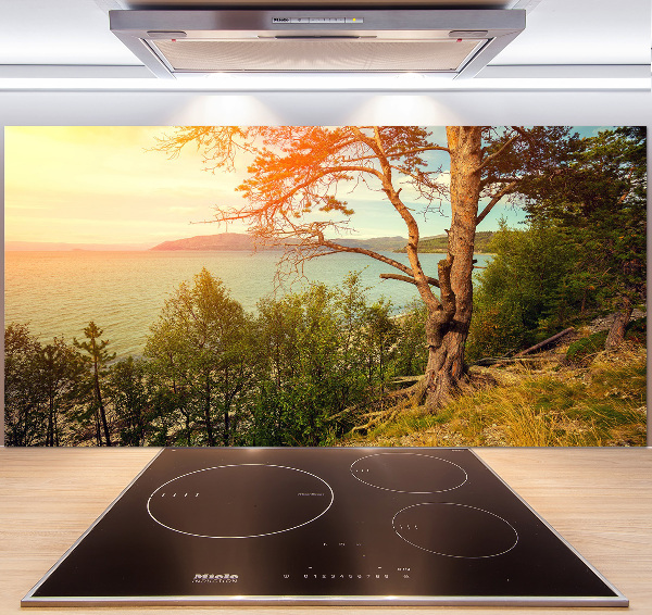 Cooker splashback Scandinavian lake