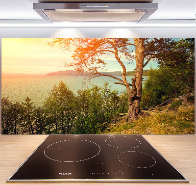 Cooker splashback Scandinavian lake