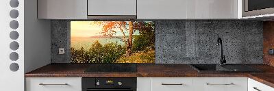 Cooker splashback Scandinavian lake