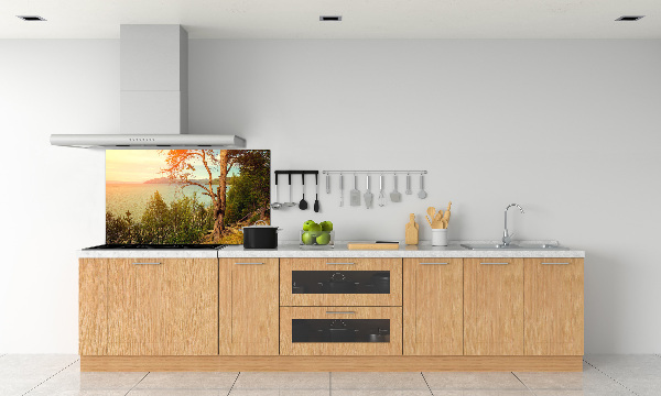 Cooker splashback Scandinavian lake