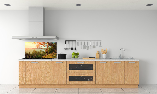 Cooker splashback Scandinavian lake